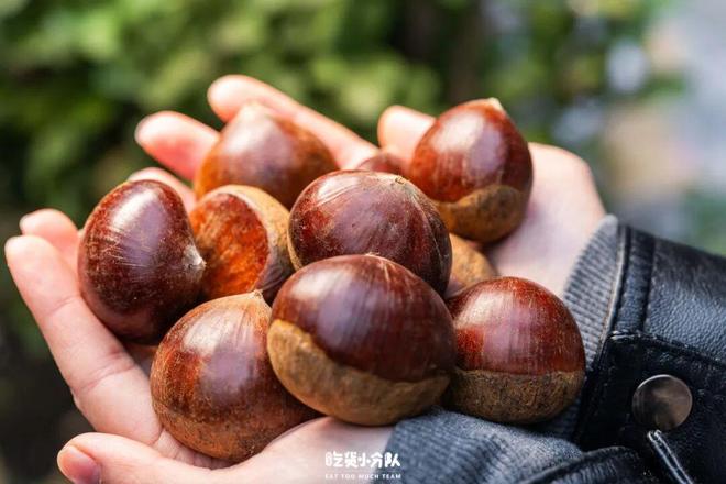 新葡京官网在线芝麻酱拌宽粉窍门 看完都流口水了(图3)